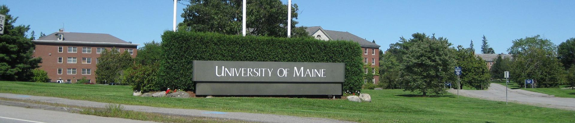 University of Maine